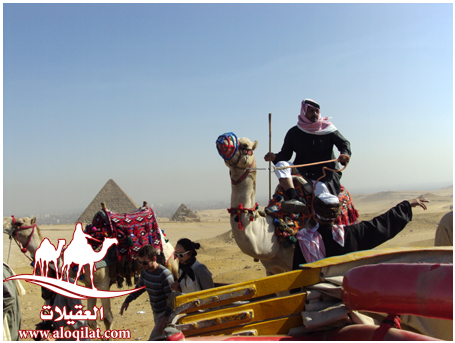 مشاركات معرض العقيلات لقطة شاشة 2026 02 25 152150