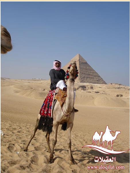 مشاركات معرض العقيلات لقطة شاشة 2026 02 25 152202