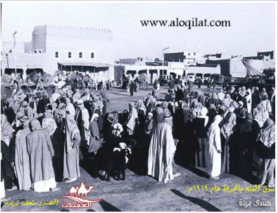 لقطة شاشة 2026 02 24 163344