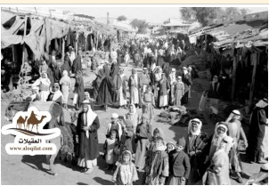 لقطة شاشة 2026 02 24 163427