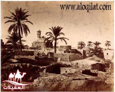 لقطة شاشة 2026 02 24 163434