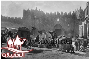 لقطة شاشة 2026 02 24 163440