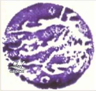 لقطة شاشة 2026 02 25 102321