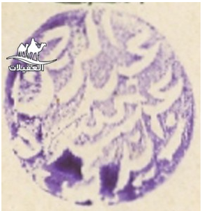 لقطة شاشة 2026 02 25 102353