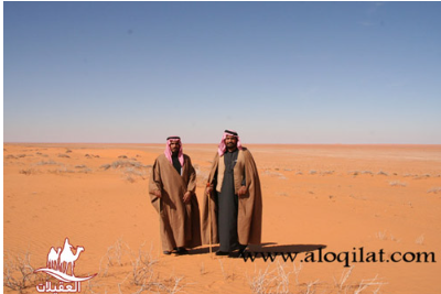 طريق العقيلات لقطة شاشة 2026 02 25 105133