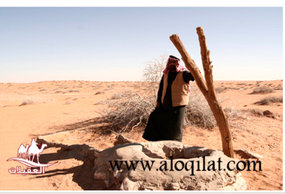 طريق العقيلات لقطة شاشة 2026 02 25 105145