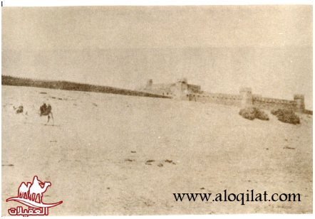 صور العقيلات لقطة شاشة 2026 02 25 115650