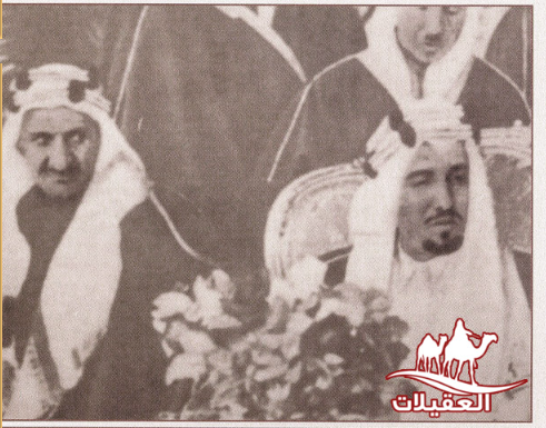 صور العقيلات لقطة شاشة 2026 02 25 120039