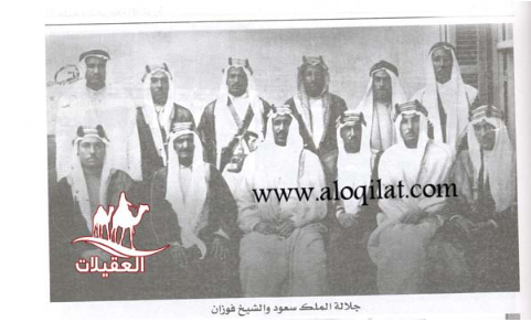 صور العقيلات لقطة شاشة 2026 02 25 120052