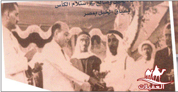 صور العقيلات لقطة شاشة 2026 02 25 122028