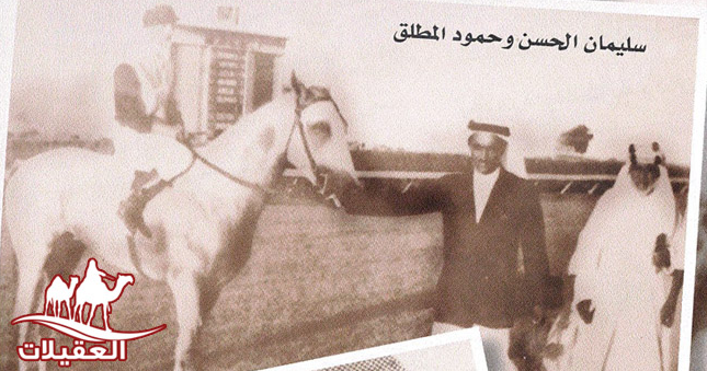 صور العقيلات لقطة شاشة 2026 02 25 122147