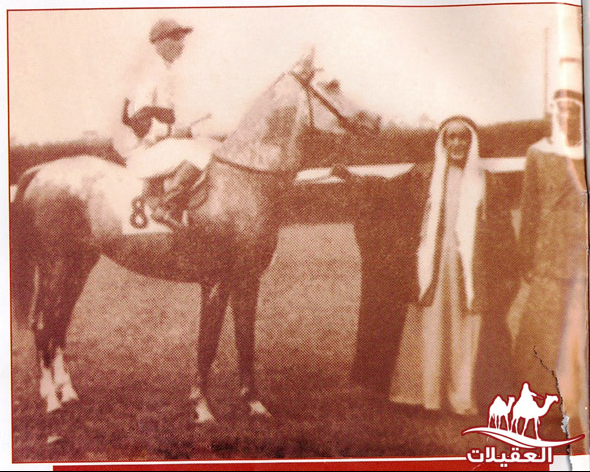 صور العقيلات لقطة شاشة 2026 02 25 122330