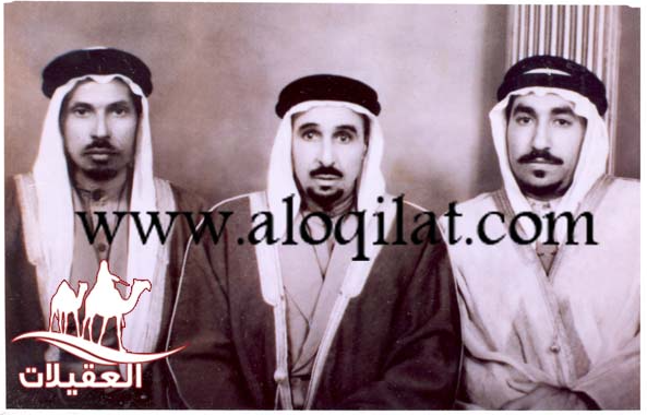 صور العقيلات لقطة شاشة 2026 02 25 122748