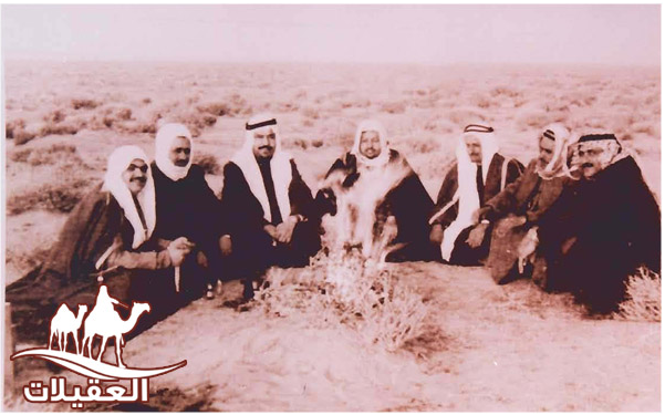 صور العقيلات لقطة شاشة 2026 02 25 125536