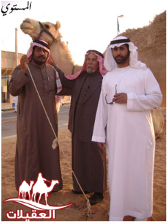 صور العقيلات لقطة شاشة 2026 02 25 131354