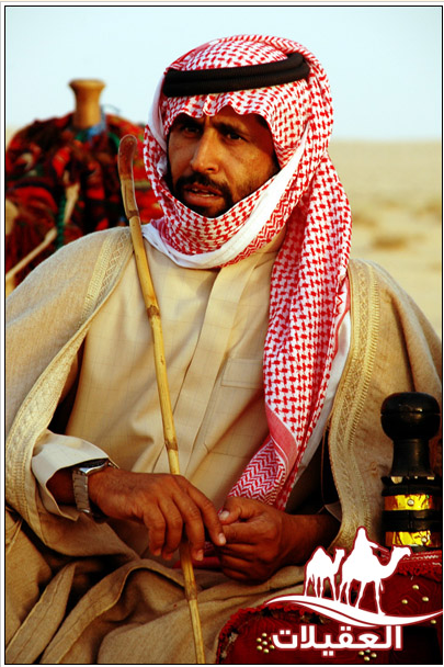 لقطة شاشة 2026 02 25 152717