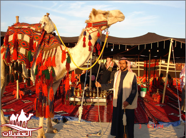 صور أحفاد العقيلات لقطة شاشة 2026 02 25 153659