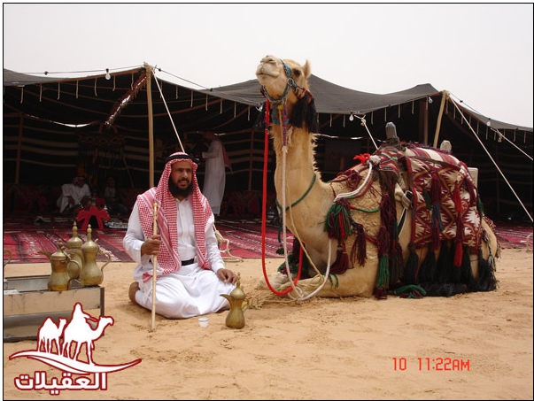 صور أحفاد العقيلات لقطة شاشة 2026 02 25 153809