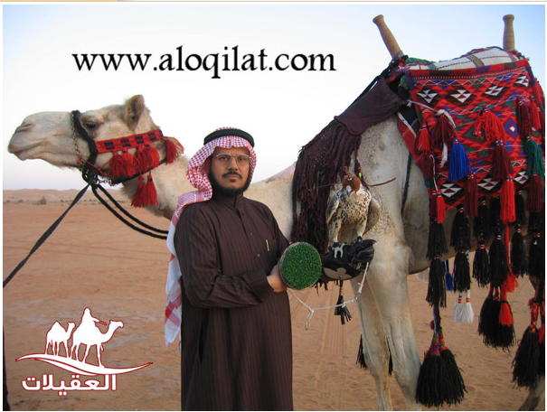 صور أحفاد العقيلات لقطة شاشة 2026 02 25 154206