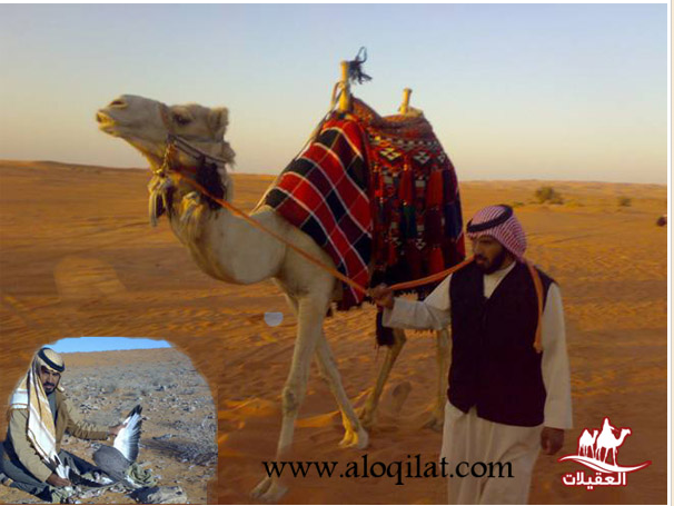 صور أحفاد العقيلات لقطة شاشة 2026 02 25 154859