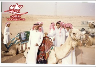 لقطة شاشة 2026 02 25 182043