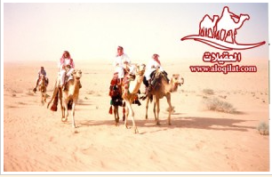 صور من الرحلات لقطة شاشة 2026 02 25 182300