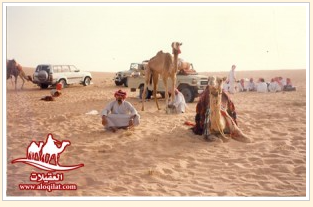 صور من الرحلات لقطة شاشة 2026 02 25 182331