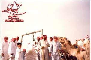 صور من الرحلات لقطة شاشة 2026 02 25 182416