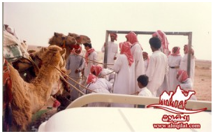 صور من الرحلات لقطة شاشة 2026 02 25 182533