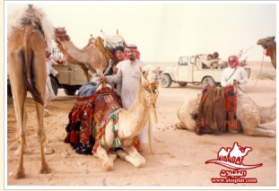 صور من الرحلات لقطة شاشة 2026 02 25 182625