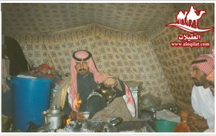 صور من الرحلات لقطة شاشة 2026 02 25 182715