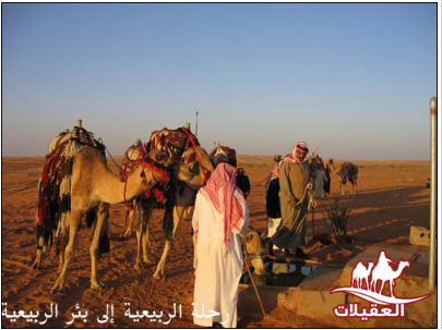 صور من الرحلات لقطة شاشة 2026 02 25 182847