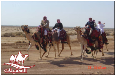 صور من الرحلات لقطة شاشة 2026 02 25 182925