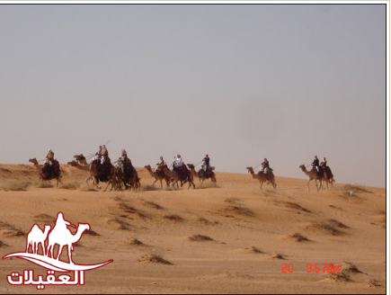 صور من الرحلات لقطة شاشة 2026 02 25 183114