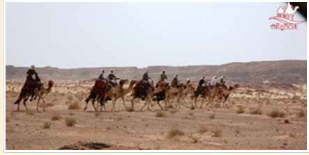 صور من الرحلات لقطة شاشة 2026 02 25 183310