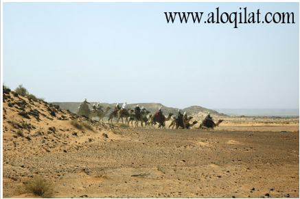 صور من الرحلات لقطة شاشة 2026 02 25 183509