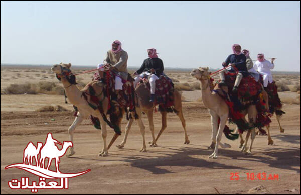 صور من الرحلات
