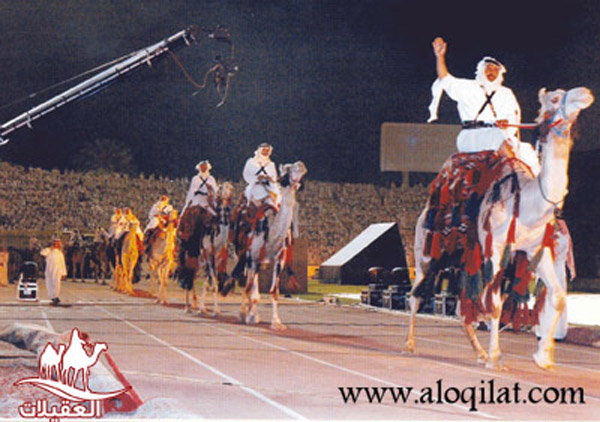 عرض لفرسان يرتدون الزي التقليدي على ظهر الجمال في مظاهرة ليلية، مع وجود كاميرا تصوير في الخلفية.